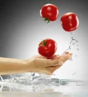 hand_tomatoes